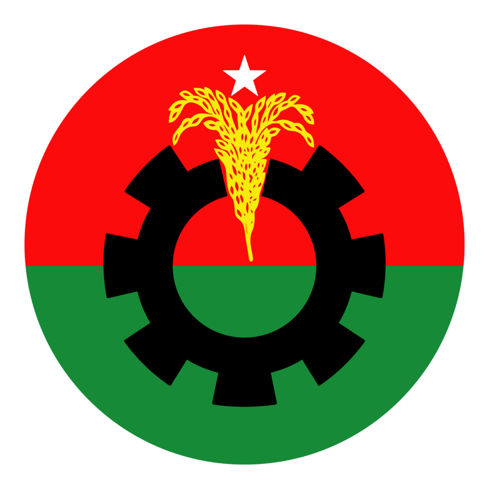 BNP Logo